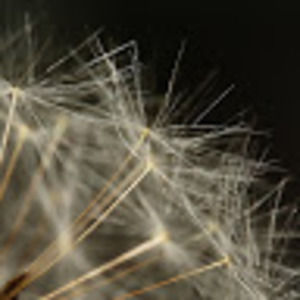 Meet your Posher, Kirsten